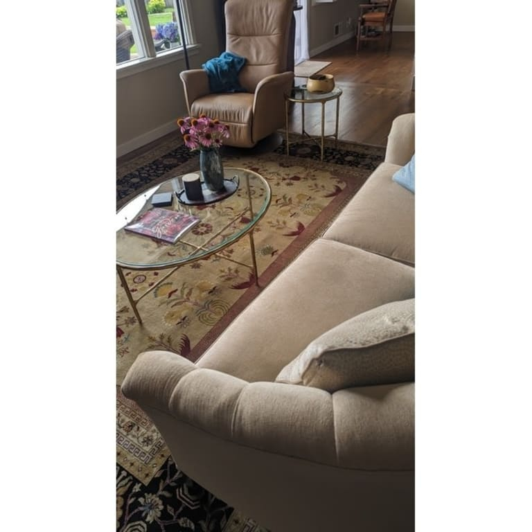 Safavieh Couture Jessa Oval Metal Coffee Table - 40 In W X 30 In D X 15 ... throughout Unveiling the Craftsmanship of the Jessa Oval Cocktail Table Exploring Design and Materials