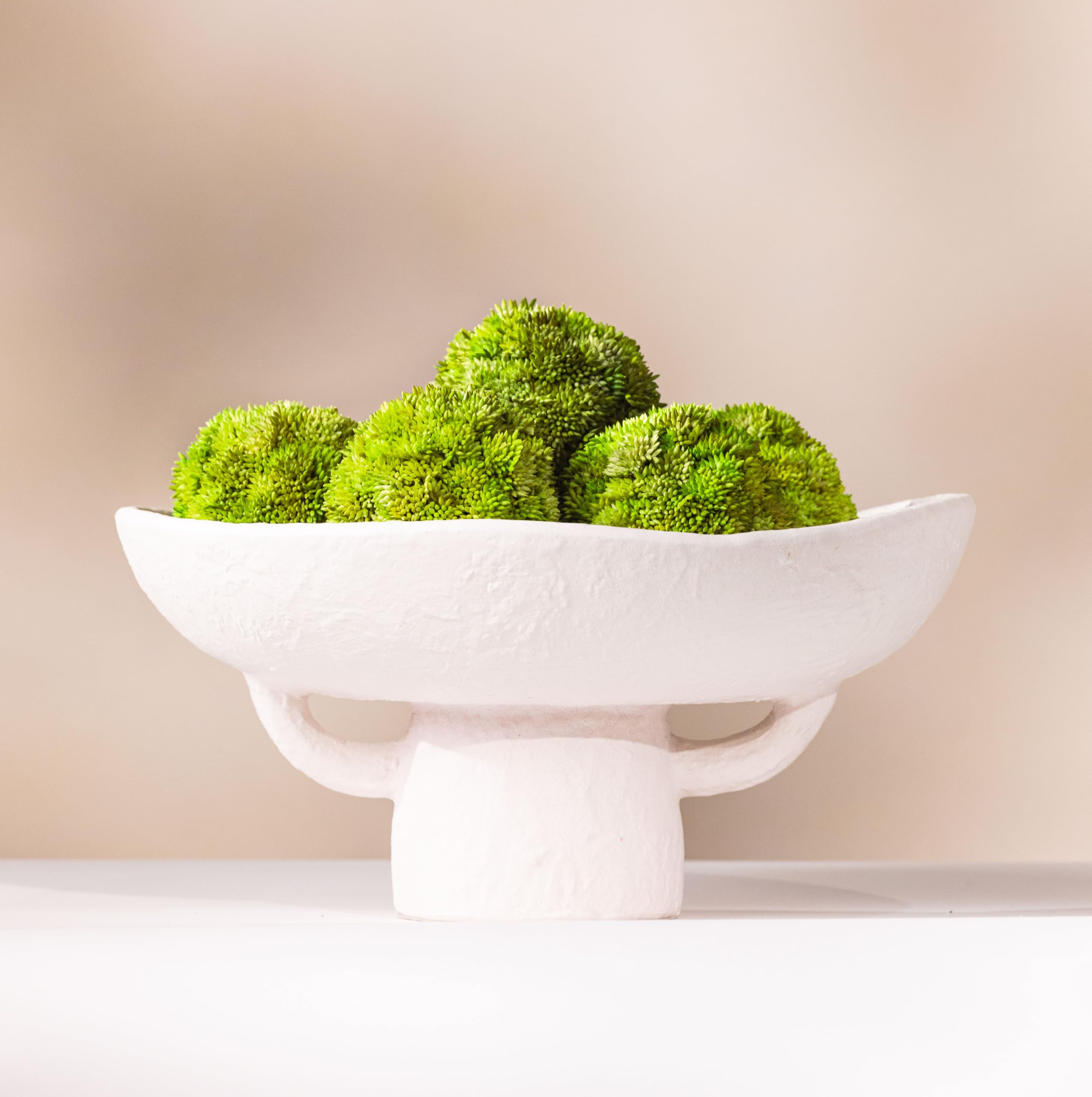 Your guide to the elegant white textured ceramic bowl and moss ball pairing