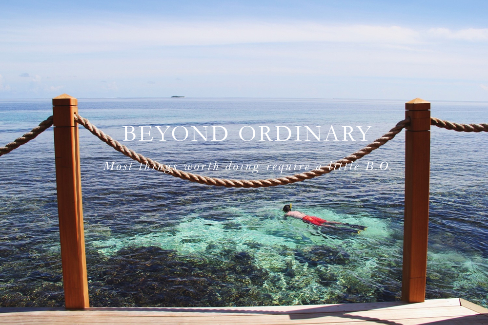 Beyond Ordinary Guides with Beyond the Ordinary Discovering the Beauty of Red &amp;amp;amp; White Wine Glass Splashbacks as a Kitchen Centerpiece