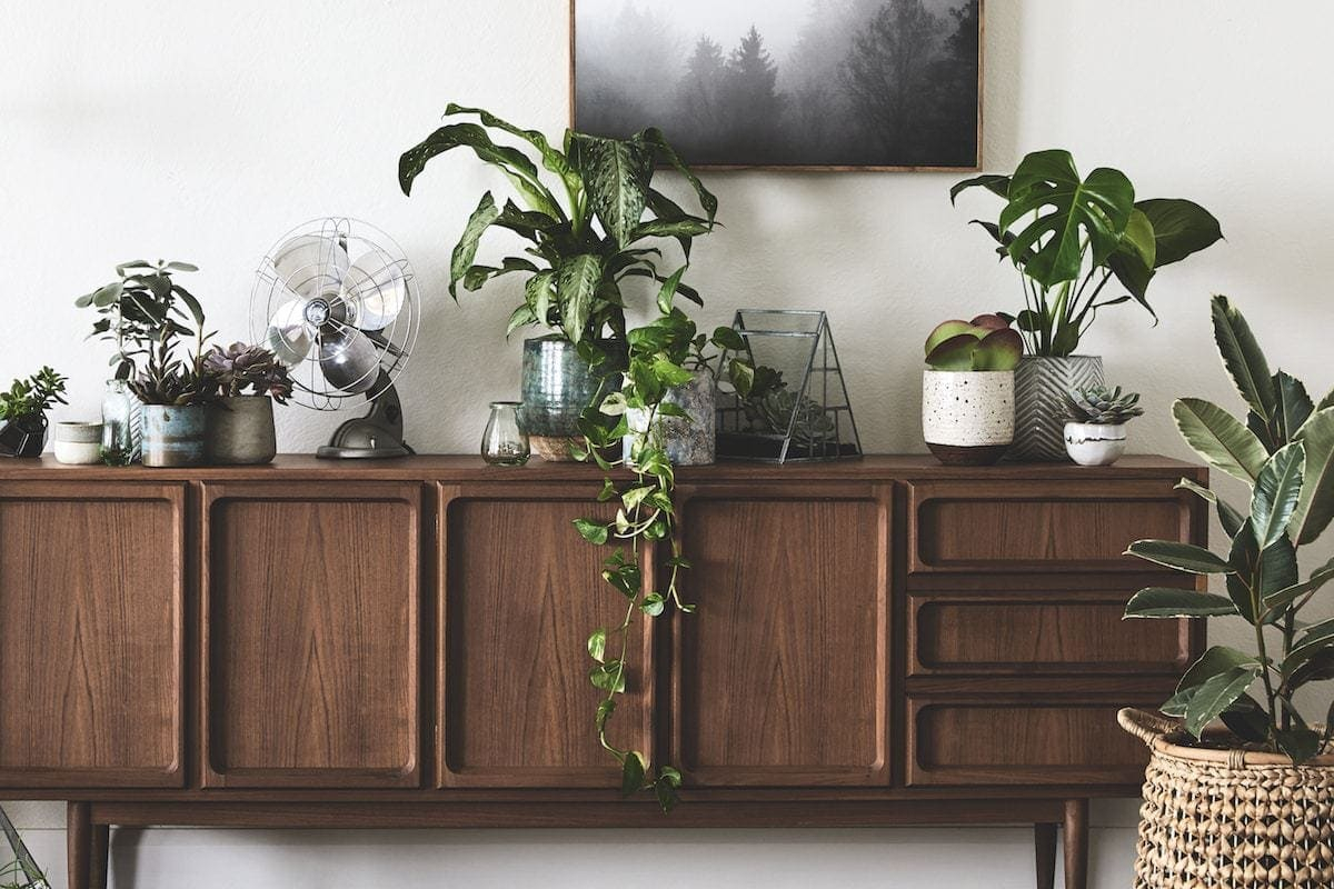 Easy Sideboard Styling Ideas To Try At Home in Styling Your Space with the Robin Ridge Sideboard Expert Tips and Inspiration