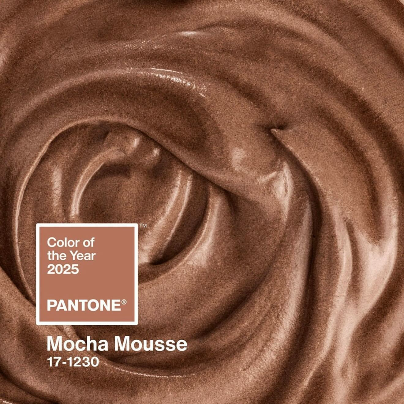 Mocha Mousse - Pantone Color Of The Year 2025 - Shaadiwish for From Concept to Color 12 Designer Projects Embracing Mocha Mousse for 2025