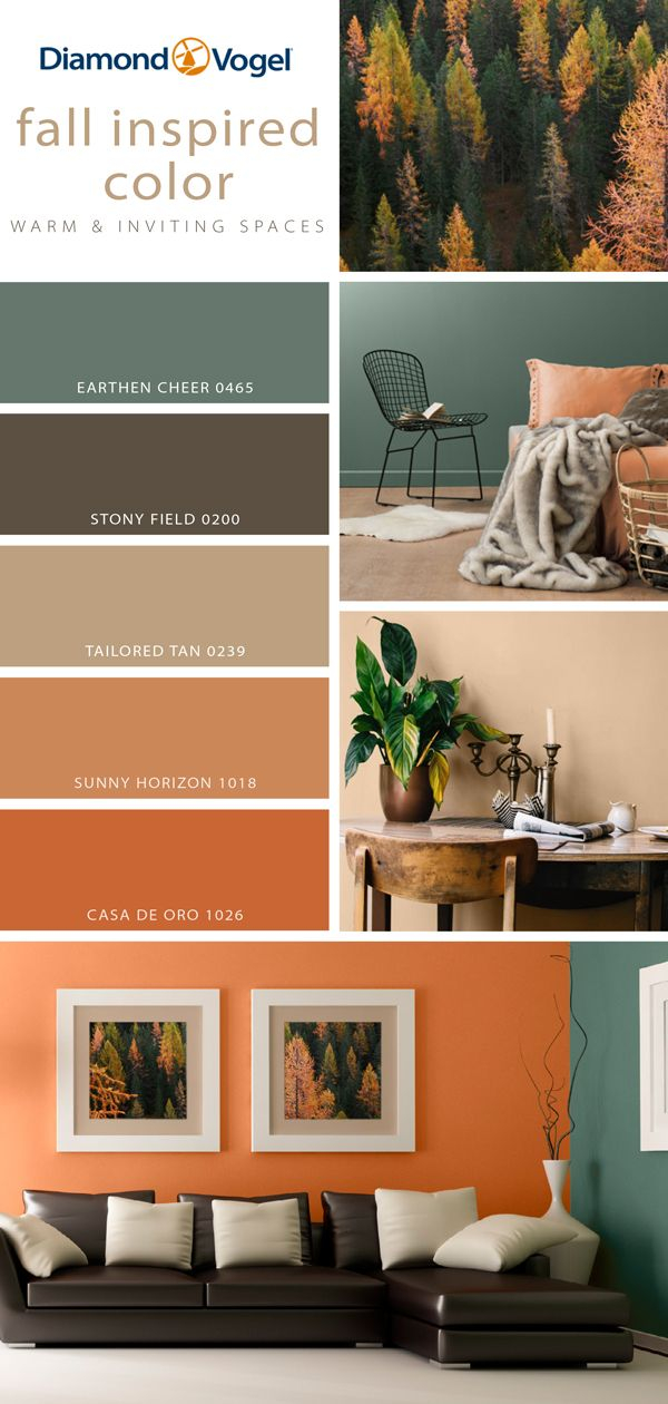 Transform Your Rustline Home with the Inviting Palette of Warm Colors