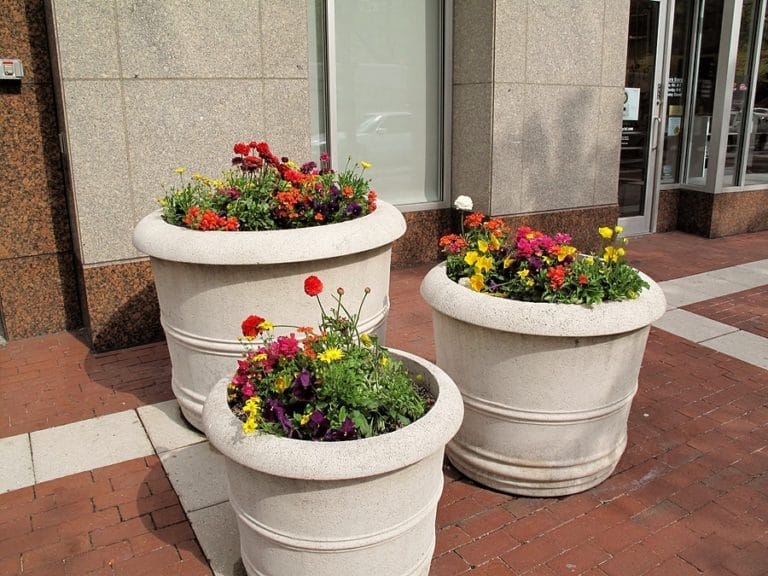Understanding the Durability Benefits of Charcoal Concrete Planters