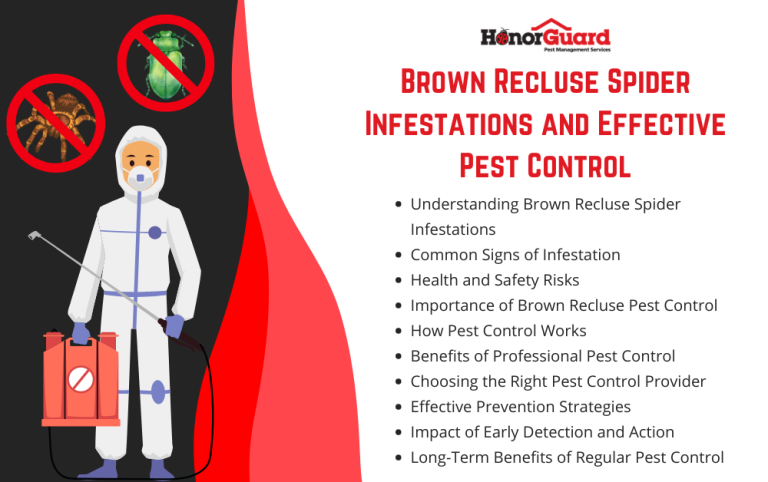 Brown Recluse Spider Infestations And Effective Pest Control - Honor Guard inside Understanding Brown Recluse Spider Behavior and Effective Prevention Strategies