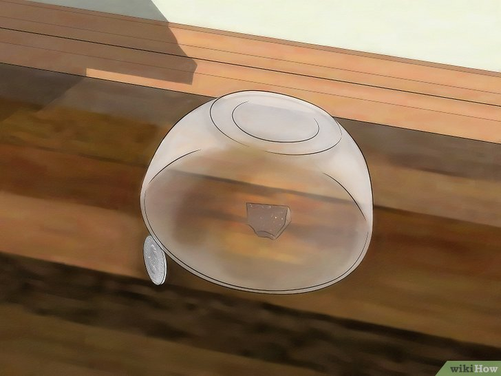 How To Get Rid Of Mice The Natural Way pertaining to Step-by-Step Guide to Getting Rid of a Mouse in the Wall