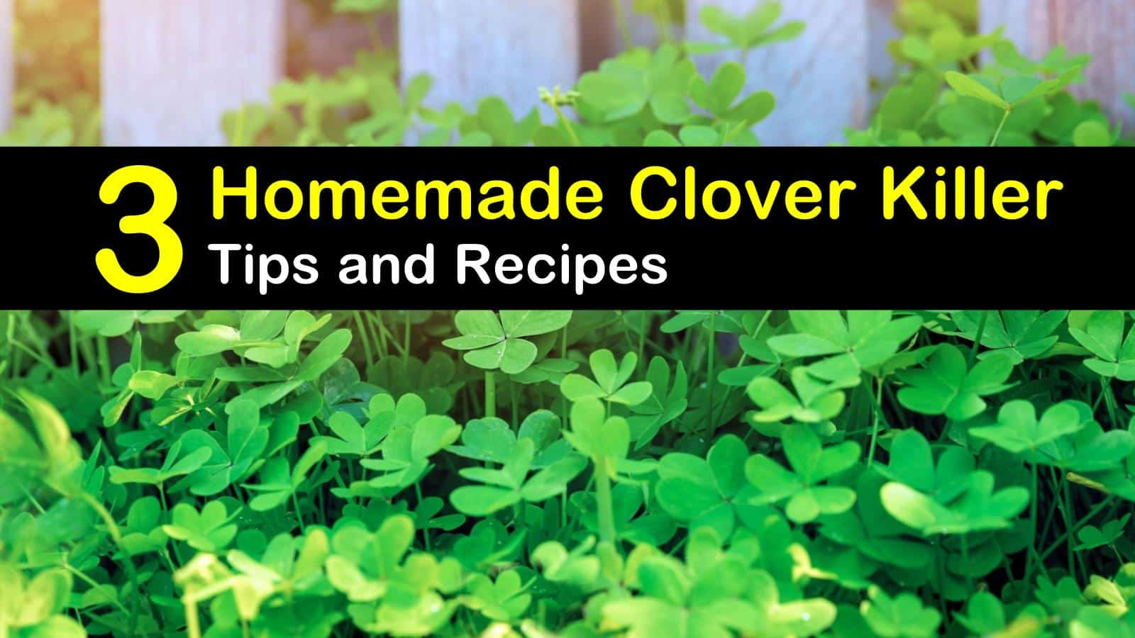 What Can I Use To Kill Clover In My Yard At Jack Radcliffe Blog pertaining to How to Effectively Eliminate Clover from Your Lawn Naturally