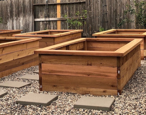 Avoiding Chemical Leachate Protecting Your Organic Vegetables with Untreated Cedar 3
