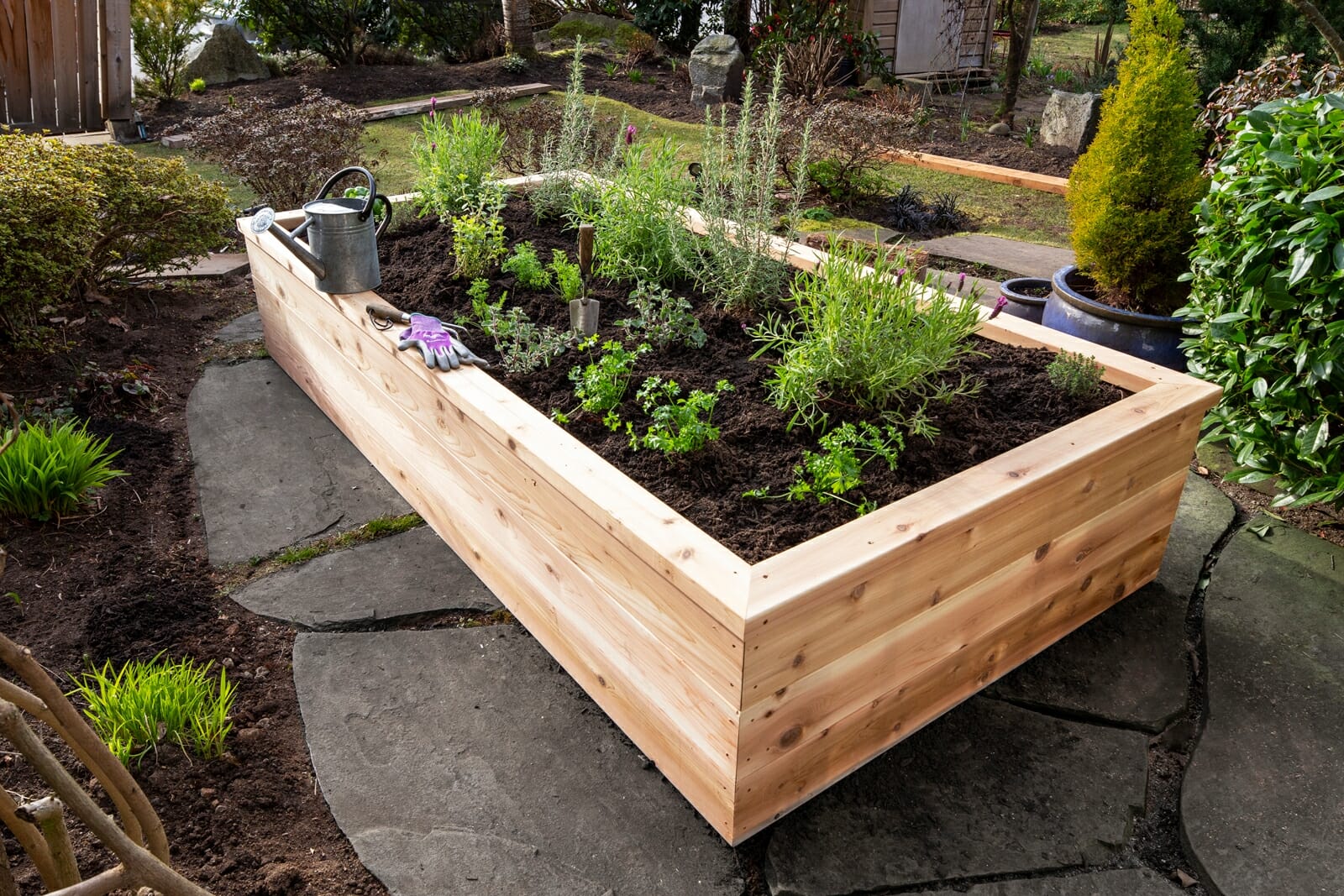 Avoiding Chemical Leachate Protecting Your Organic Vegetables with Untreated Cedar