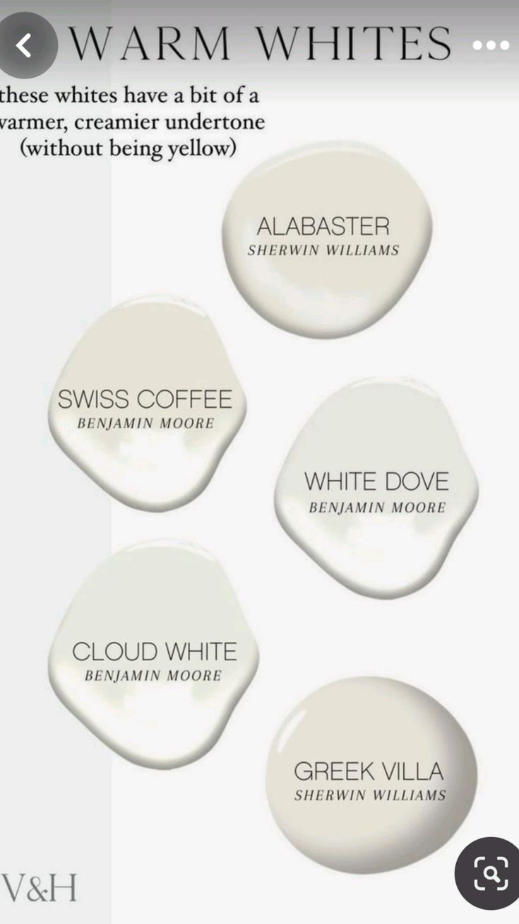 How Natural Light Changes Warm White Paint Colors Throughout the Day 4