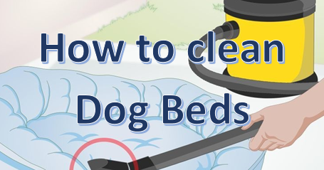 What you need to know before cleaning a foam mattress for dogs 4