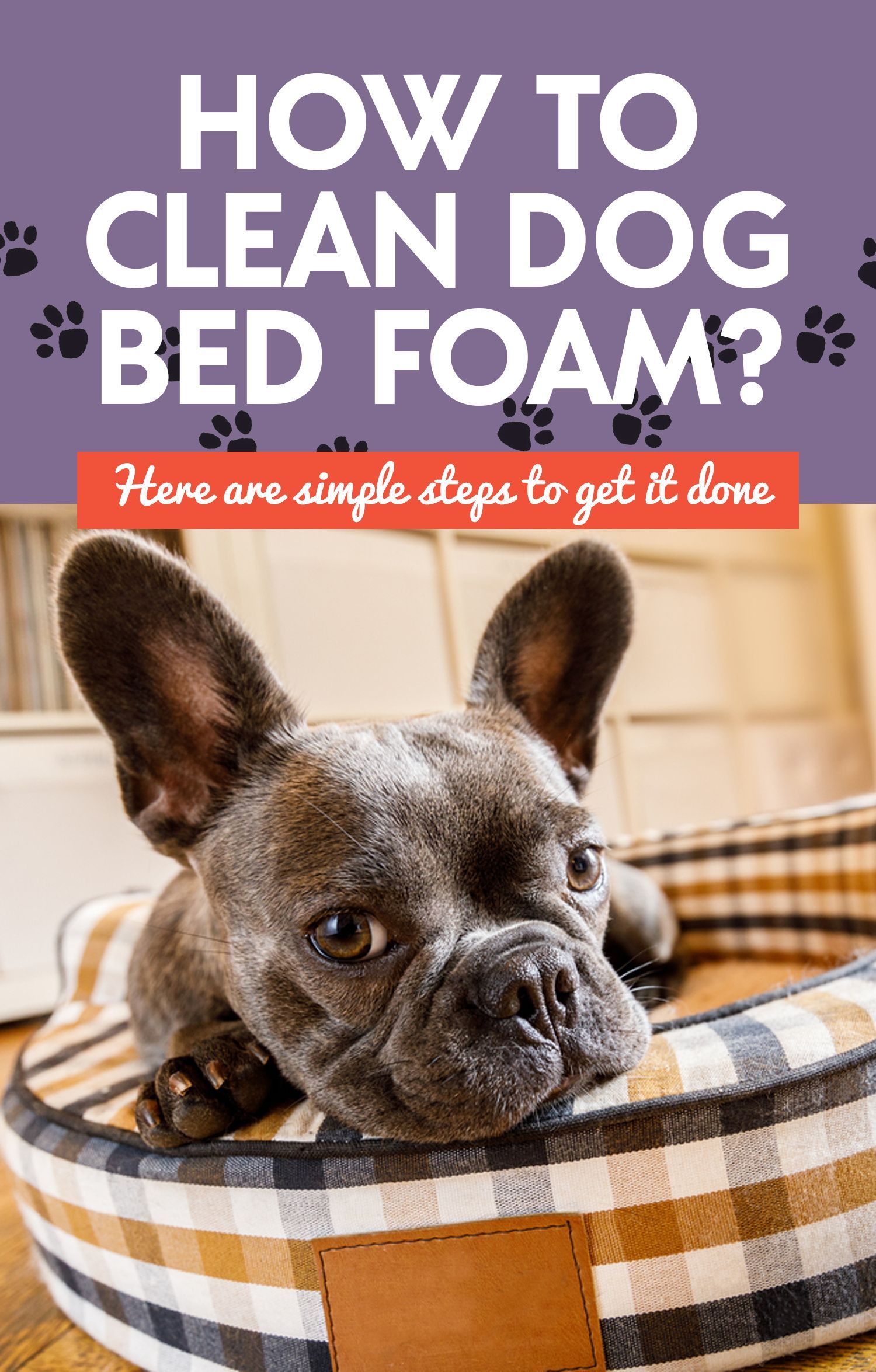 What you need to know before cleaning a foam mattress for dogs