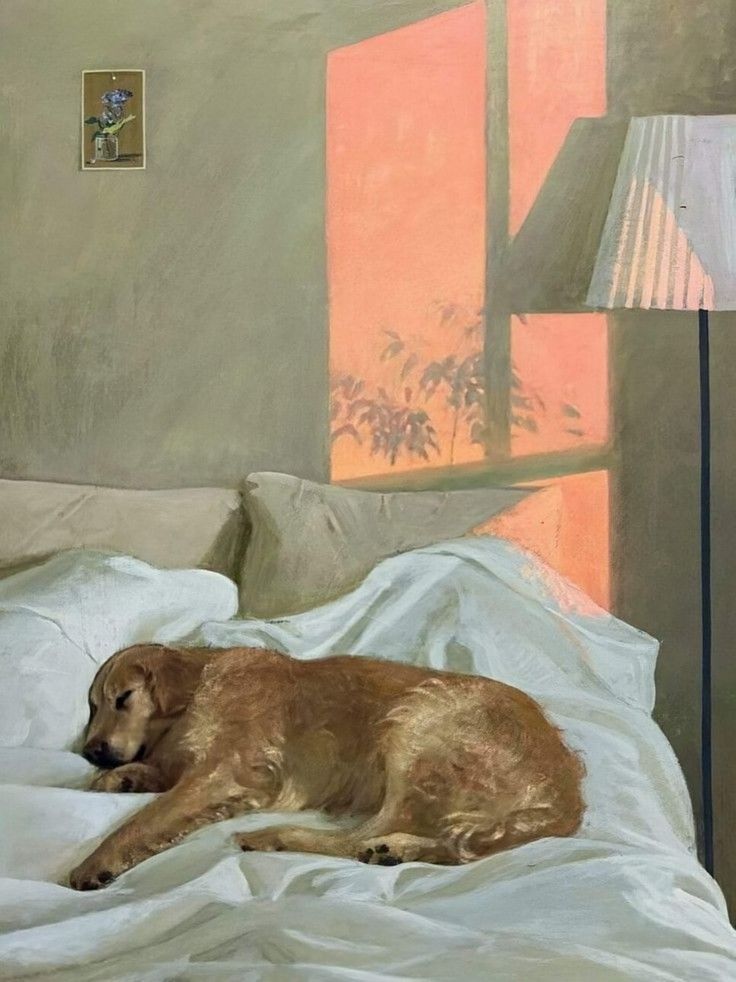 Why Most Pet Portraits Miss the Mark and How Layering Textures Changes Everything 2