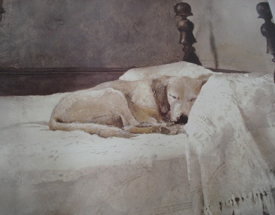 Why Most Pet Portraits Miss the Mark and How Layering Textures Changes Everything